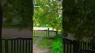 #казахстан #лето #природа #асмр #musicvideo #релакс #music #relaxing  #надеждажитина #дождь #shorts