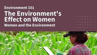 The Environment's Effect on Women  - Women and the Environment | Environment 101 | CSEN