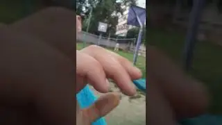 VID 20210806 081532 животное укусило