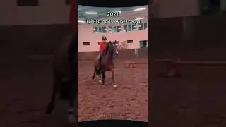 прыгали без седла?✨