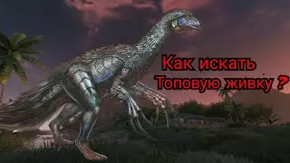 Как находить топовую живку в Ark mobile?|Modjik