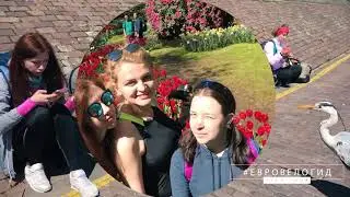 Авторский велотур 'Тюльпаны и Замки'. Нидерланды