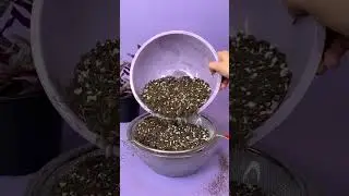 Cómo reutilizar sustrato viejo para nuevas plantas | Tastemade #Shorts