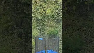 Снег в апреле