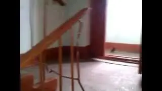 Голубь! Давай до свидания!