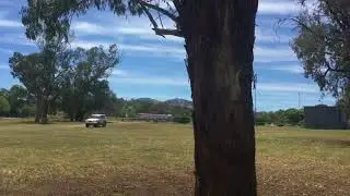 Willow Tree Recreation Reserve