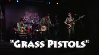 Grass Pistols 2