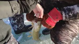 Щука на жерлицы! Актобе