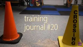 Training Journal #20 - Progress and Habits