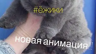 ЁЖИК