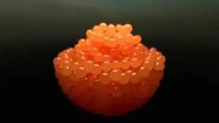 Cycles Test 09 - Caviar Particles (Blender 2.6)