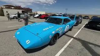 Black Bird rally on Superbird or the return of Timon