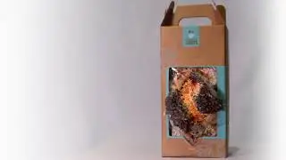 Amazon com Back To The Roots Organic Mini Mushroom Growing Kit, Harvest Gourmet Oyster Mushrooms In