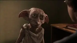 The warnings are too persistent, Dobby.　(Japanese Memes)
