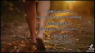 时间可以证明一切-Time really can prove everything. #shortsvideo #tiktok #quotes #quote #心里话 #抖音