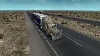 Peterbilt 389. Cargo: Household Appliances. Clovis(NM) - Lubbock(TX)