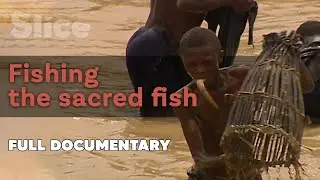 An exceptional fishing expedition | SLICE