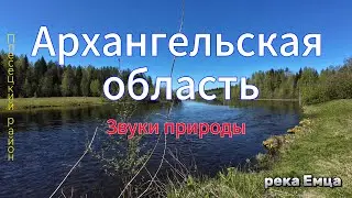 р. Емца Архангельская область #russia #djiaction4 #capcut
