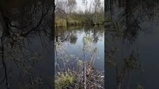 Наедине с природой! В этот момент больше ничего не надо!