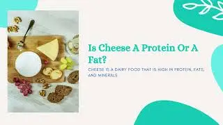 The Ultimate Wine And Cheese Pairing Guide Beginner Friendly