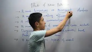 Effects of Noise Pollution | Noise Pollution | Pollution