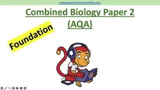 2026 Exam! AQA Foundation Combined Biology Paper 2