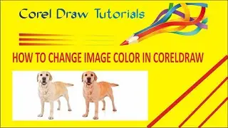 how to change image color in coreldraw