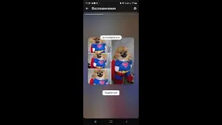 Сформулирован новый закон развития микро- и макро- космоса