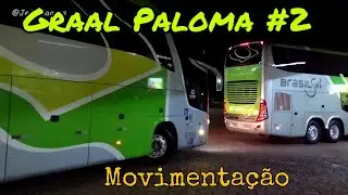 Graal Paloma #2 | Movimentação de Ônibus | Viação Garcia reinando e muito +