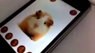 прикол для телефона