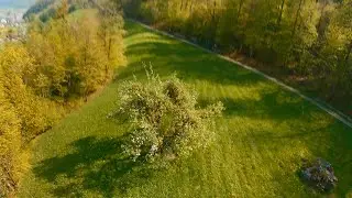 FPV Freestyle Practice NR1