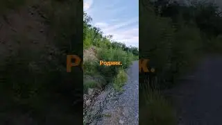 Приморский край. Родник.