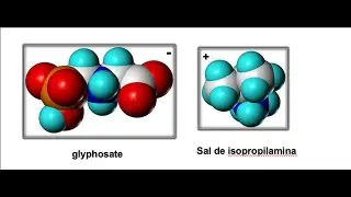 E aula glifosato Christoffoleti