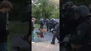 БЕЛАРУСЫ за честные выборы!
