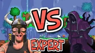 Expert Signus Calamity Terraria boss battle