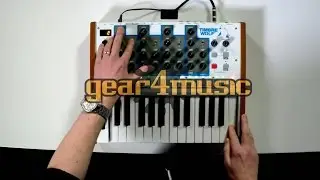 Akai Timbre Wolf Analog 4-Voice Polyphonic Synthesizer