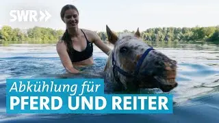 Mit Pferd im See schwimmen – Badespaß für Pferd und Reiter im Baggersee