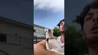 Niki is very angry 😆 