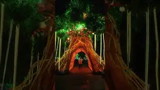 Beleef Light Safari in Beekse Bergen!