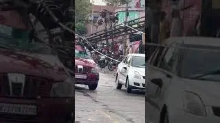 Heavy Thunderstorm In Sriganganagar Rajasthan