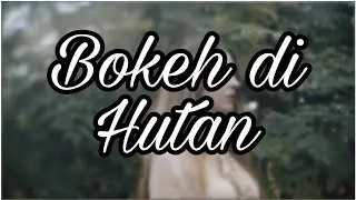 Video Bokeh di Hutan