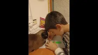Наша кошка Лиза. 30.01.2024.