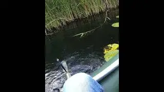 Хороший Воблер