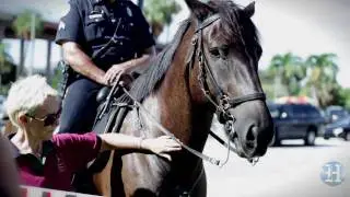 Protest against horse slaughter