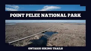 Birding At Point Pelee National Park The Tip Of Canada