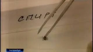 Россия 1 08 04 2019 20 44 Клещи