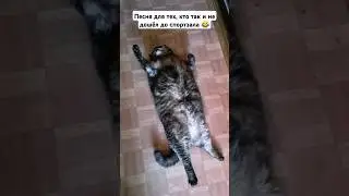 Песня для тех, кто так и не дошёл до спортзала 😂 #юмор