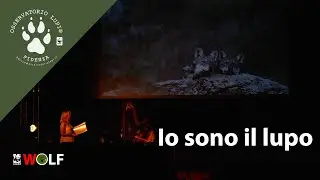 Che occhi grandi che hai: 