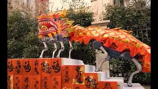 Robot Dog Dragon Dance, Happy Lunar New Year!