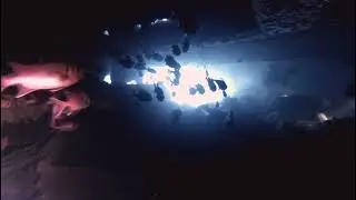 Thistlegorm deck 1, North Route, Red Sea May 2023